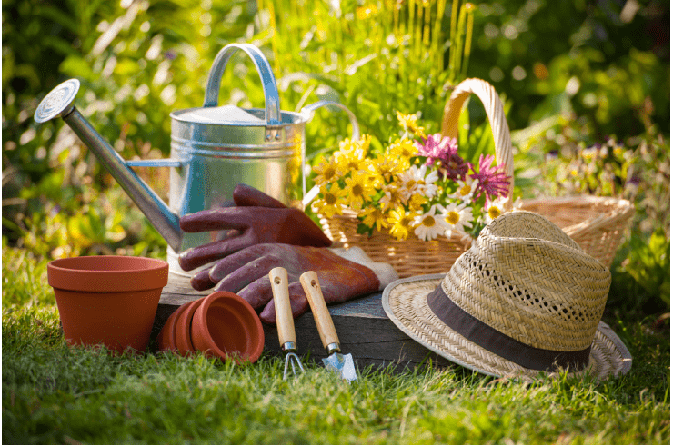 Hendrix Standard Landscaping